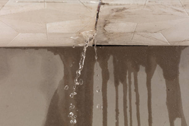 Professional Structural Drying technician working in Springfield, WI